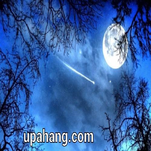 دانلود آهنگ که مثل یه جغد شومه امید